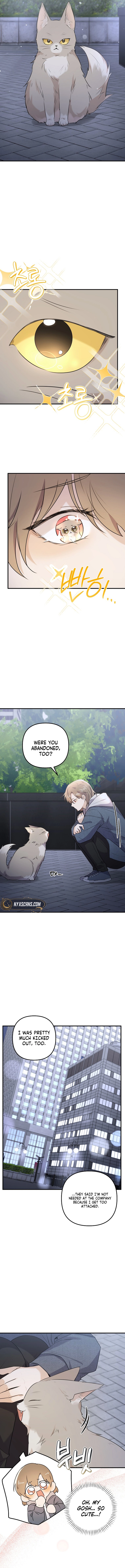 As of Today, I'm the Butler for Five Men Chapter 1 Page 12