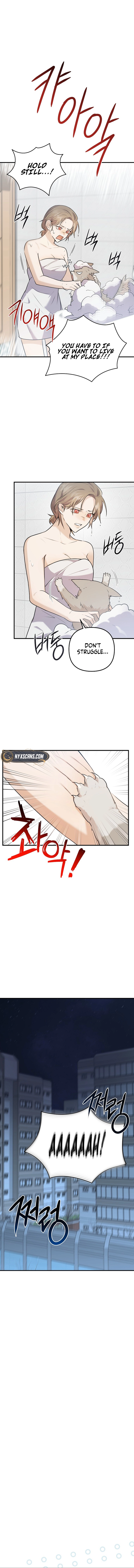 As of Today, I'm the Butler for Five Men Chapter 1 Page 14