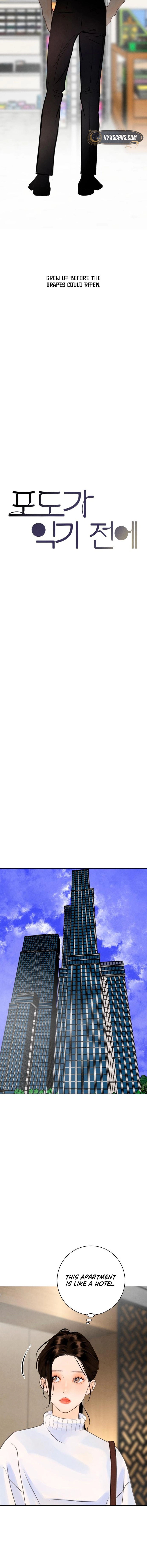  Before the grapes ripen Chapter 14 Page 7