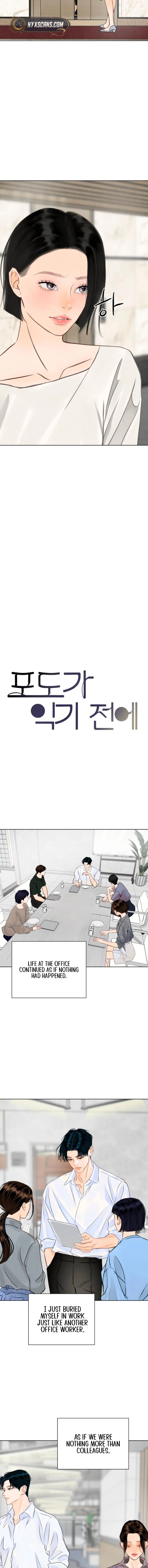  Before the grapes ripen Chapter 28 Page 10