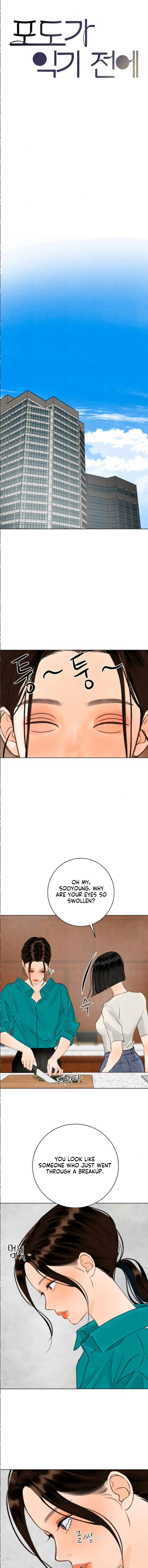  Before the grapes ripen Chapter 27 Page 9