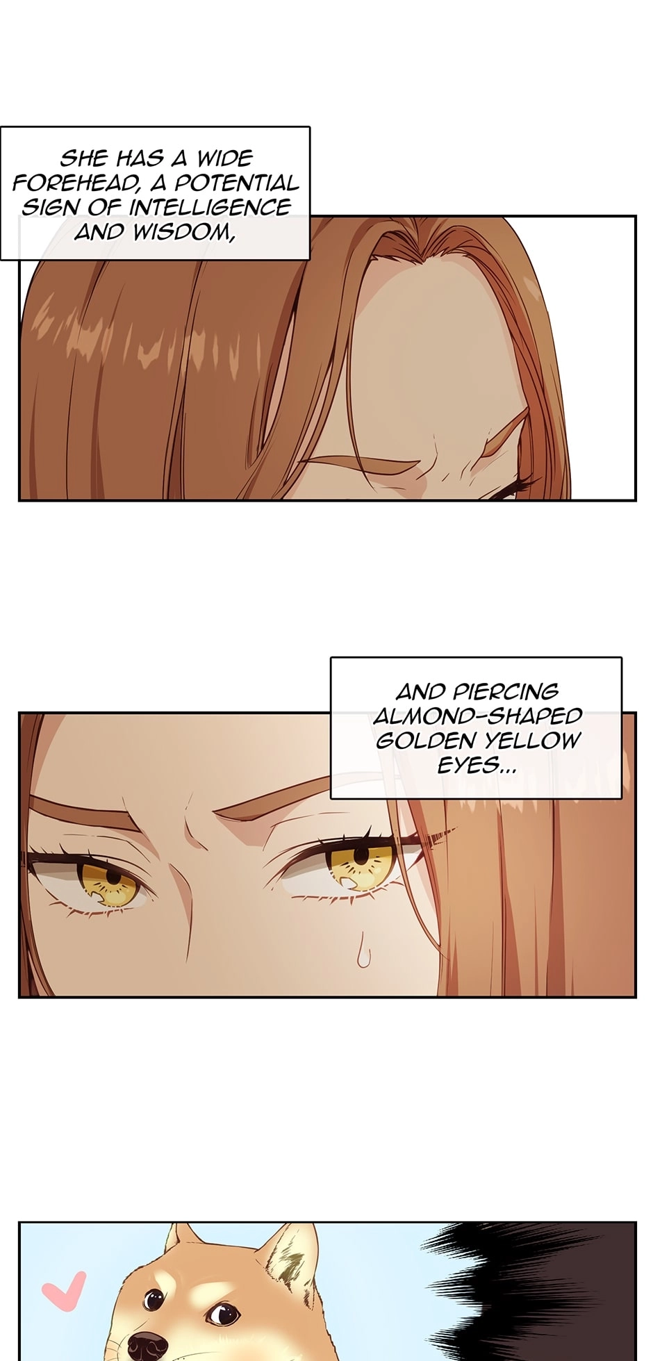 Beware the Villainess! Chapter 1 Page 23