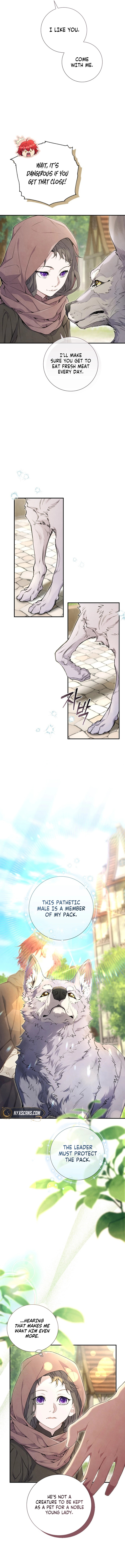 Don't look for the resurrected villain Chapter 7 - Chapter 7 Page 11