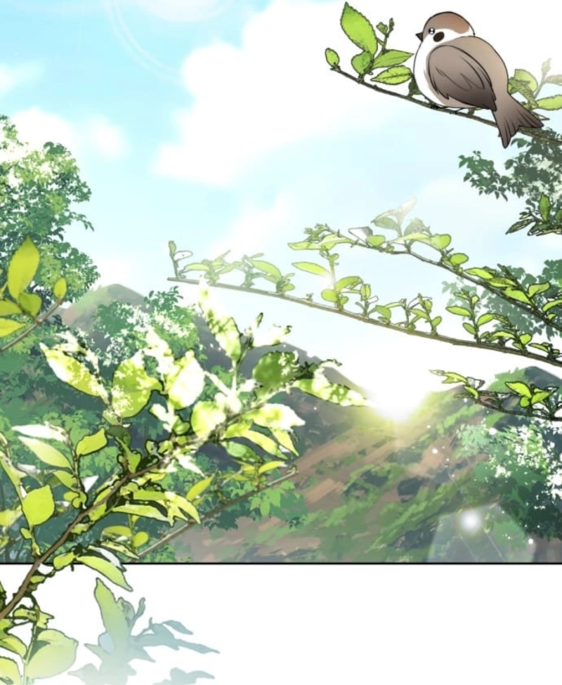 Milady: memoirs of a villainess Chapter 9 - Chapter 9 Page 366