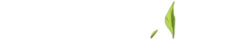 Milady: memoirs of a villainess Chapter 9 - Chapter 9 Page 601