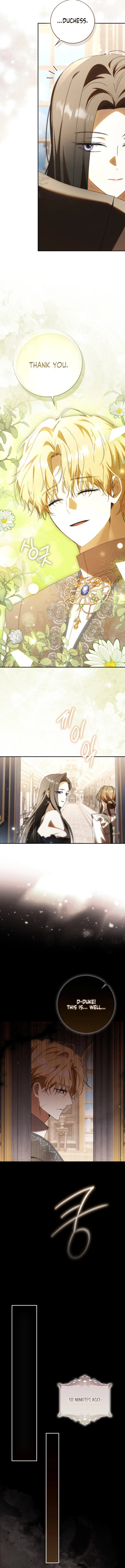 My Husband Is My Bias, But I Think I'm Getting Divorced Chapter 25 Page 11