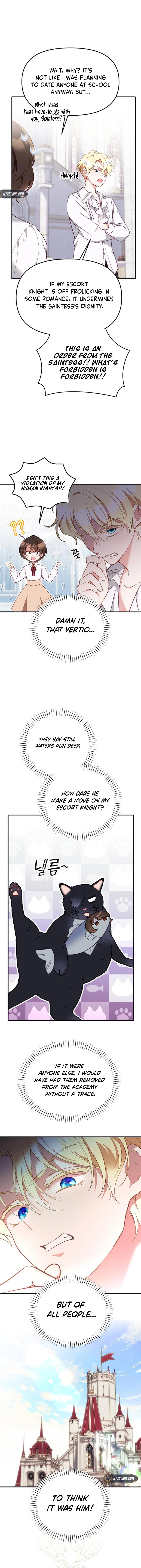 Protect the Fake Sain Chapter 6 Page 15