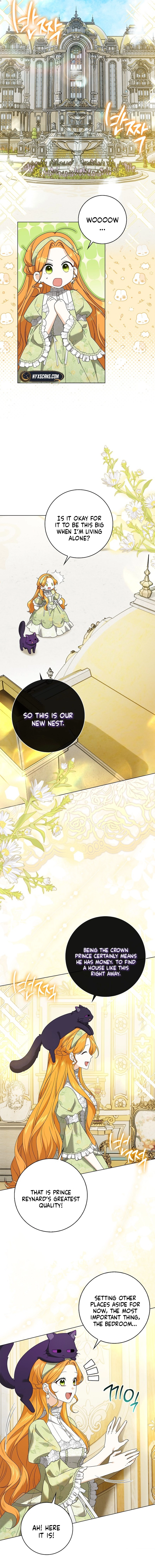 Sub Male Leads, Come to My Bed Right Now Chapter 36 Page 11