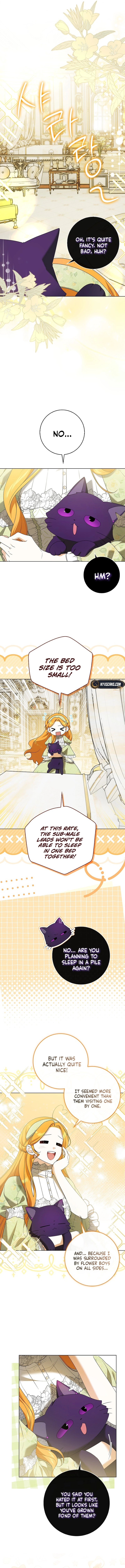 Sub Male Leads, Come to My Bed Right Now Chapter 36 Page 12