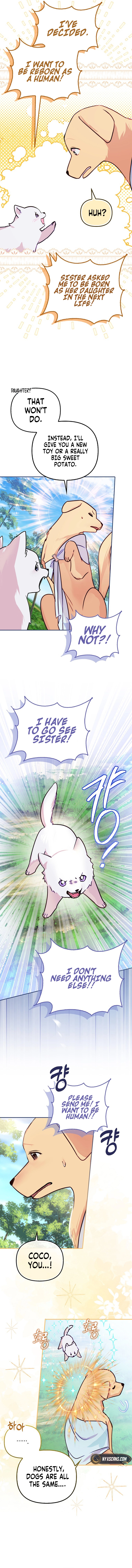 The Courageous Puppy on a Mission to Rescue the Villainous Sister Chapter 1 Page 10