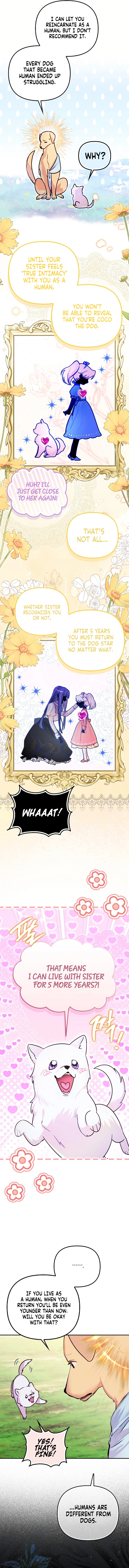 The Courageous Puppy on a Mission to Rescue the Villainous Sister Chapter 1 Page 11