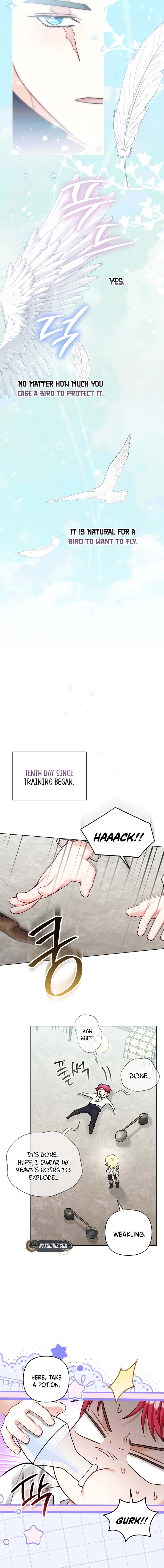 The Little Brat Runs Wild Chapter 25 Page 8