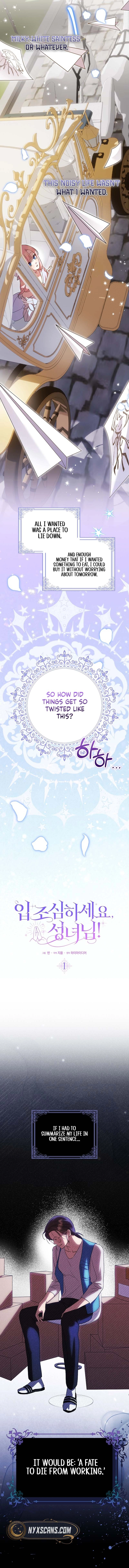 The Saintess’s Mandatory Filter Chapter 1 - Chapter 1 Page 7