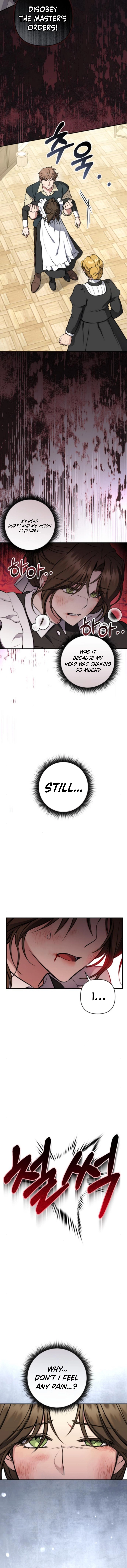 The Shadow in Paradise Chapter 5 Page 7