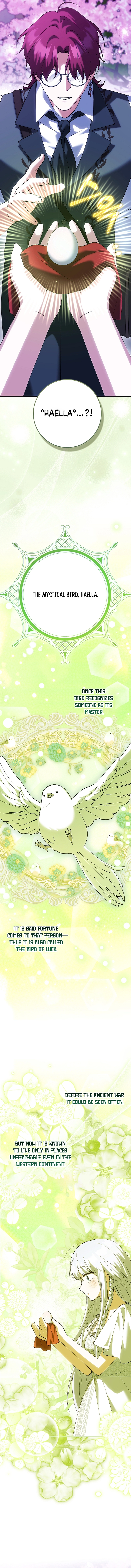 The White Tiger Princess Is Not In Danger Chapter 25 Page 9