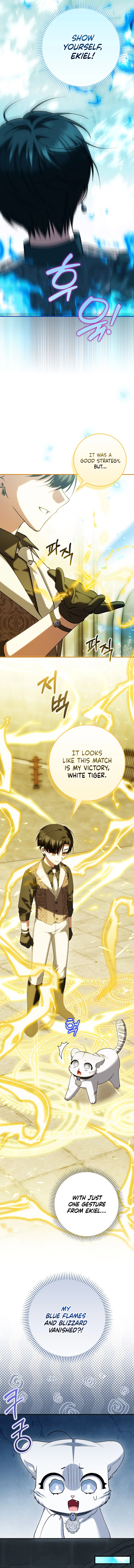 The White Tiger Princess Is Not In Danger Chapter 19 Page 11
