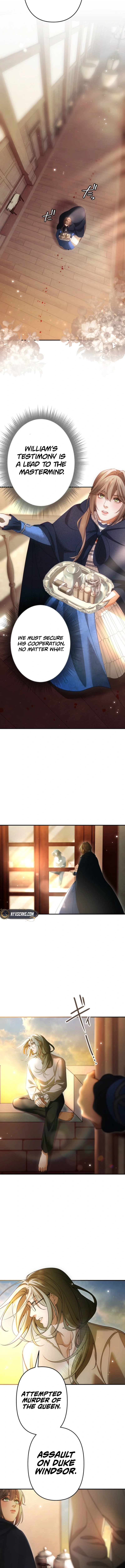 The Widowed Former Queen Lives for Love Chapter 15 - Chapter 15 Page 7