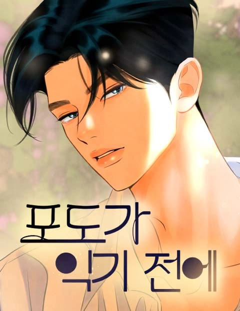 Chapter Cover