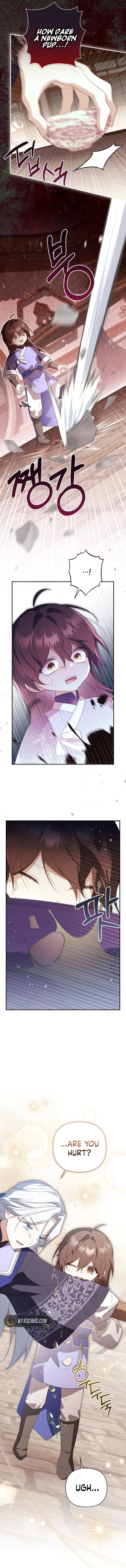 A Baby Cat Who Commands the Dog Clan Chapter 37 Page 7