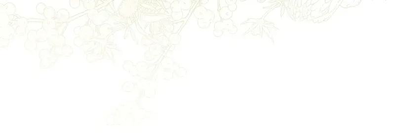 A Peaceful Maid Life While Hiding My True Power Chapter 15 Page 7