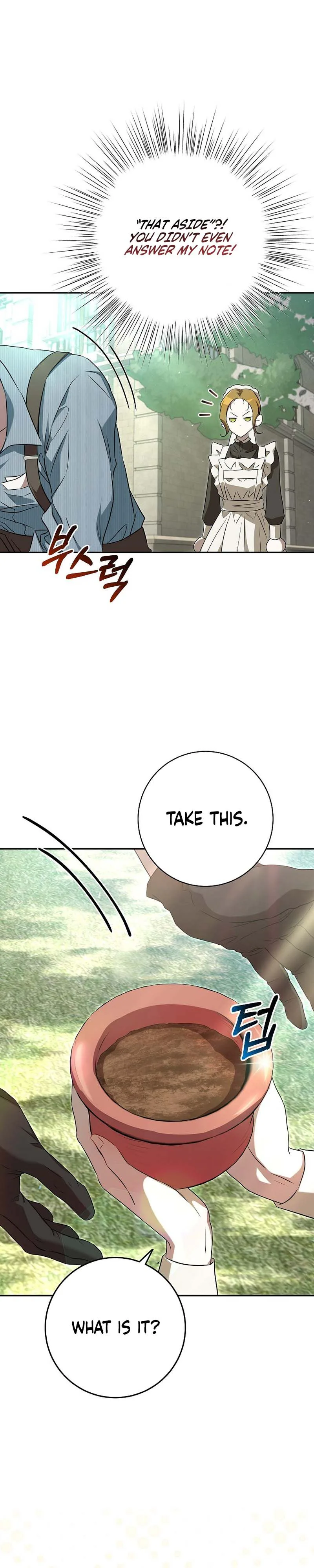 A Peaceful Maid Life While Hiding My True Power Chapter 7 Page 9