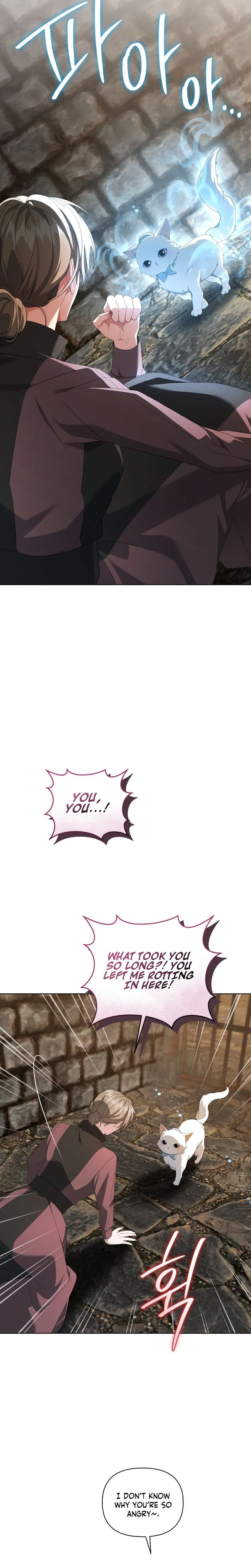 After Resignation, I Refuse the Obsession from the Male Leads Chapter 22 Page 27