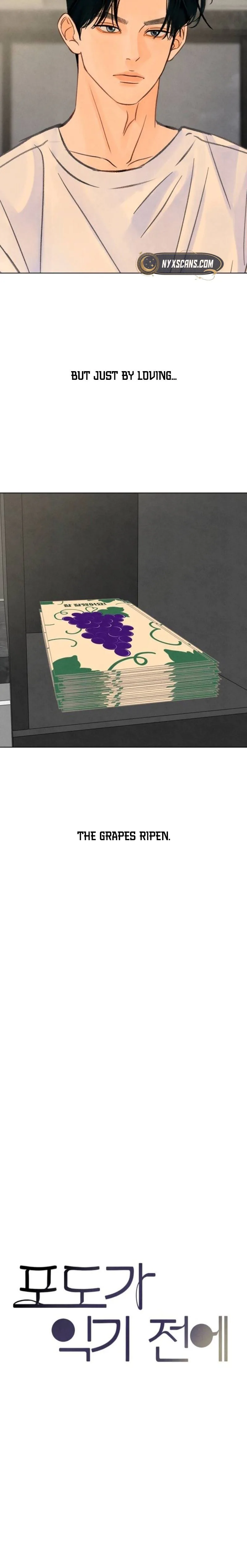  Before the grapes ripen Chapter 42 Page 10