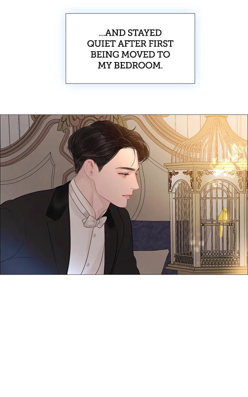 Cry, or Better Yet, Beg Chapter 16 Page 66
