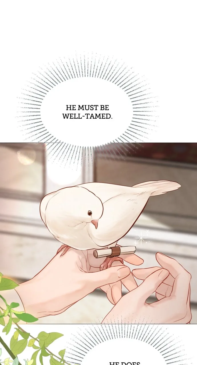 Cry, or Better Yet, Beg Chapter 52 Page 38