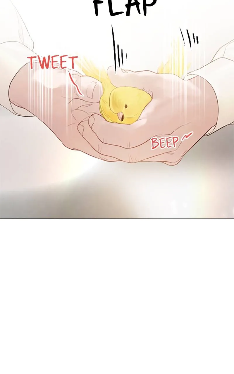 Cry, or Better Yet, Beg Chapter 11 Page 64