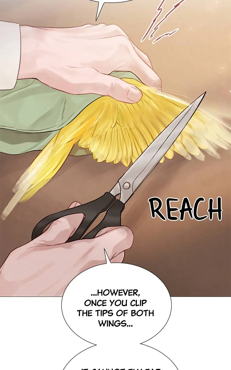 Cry, or Better Yet, Beg Chapter 11 Page 69