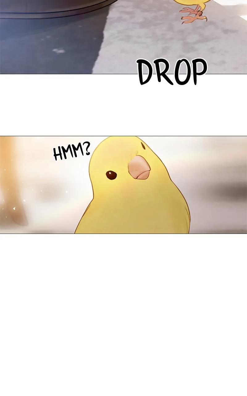 Cry, or Better Yet, Beg Chapter 11 Page 78