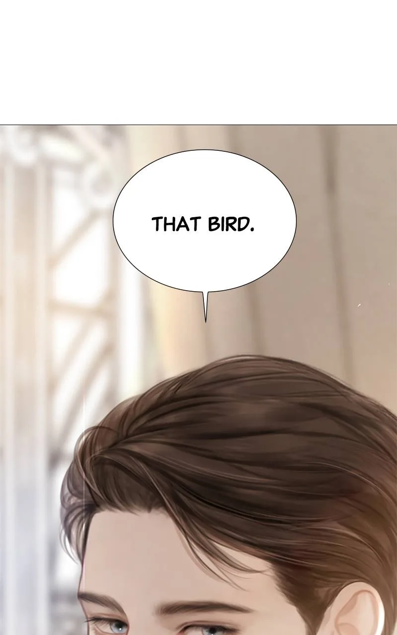 Cry, or Better Yet, Beg Chapter 11 Page 95