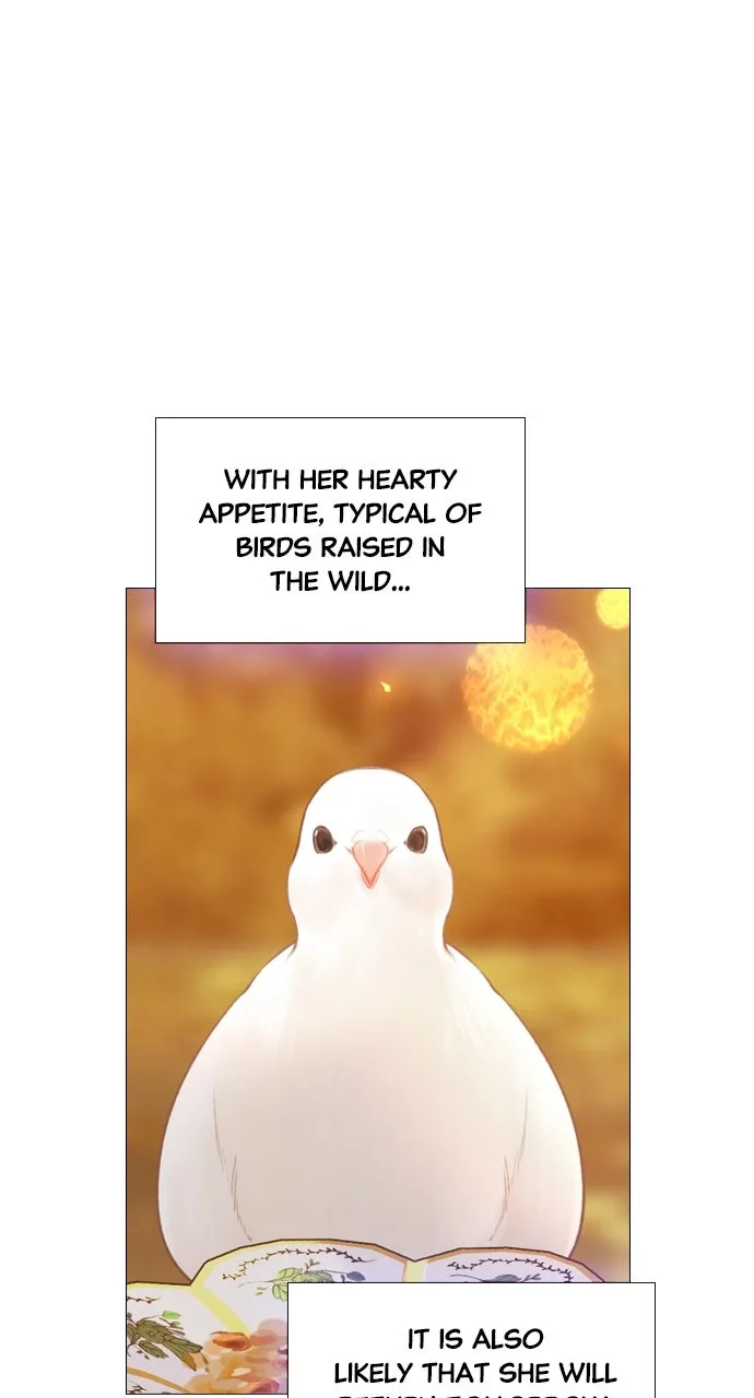 Cry, or Better Yet, Beg Chapter 62 Page 83