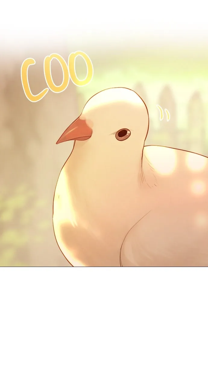 Cry, or Better Yet, Beg Chapter 53 Page 95