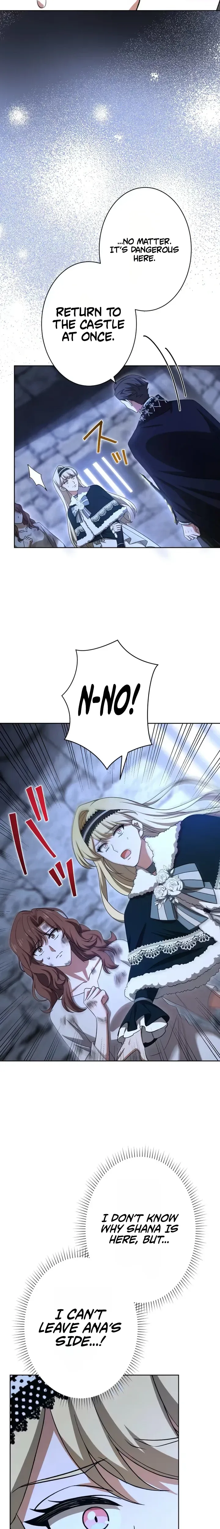 Don't Obsess Over the Fake Princess Chapter 42 Page 5