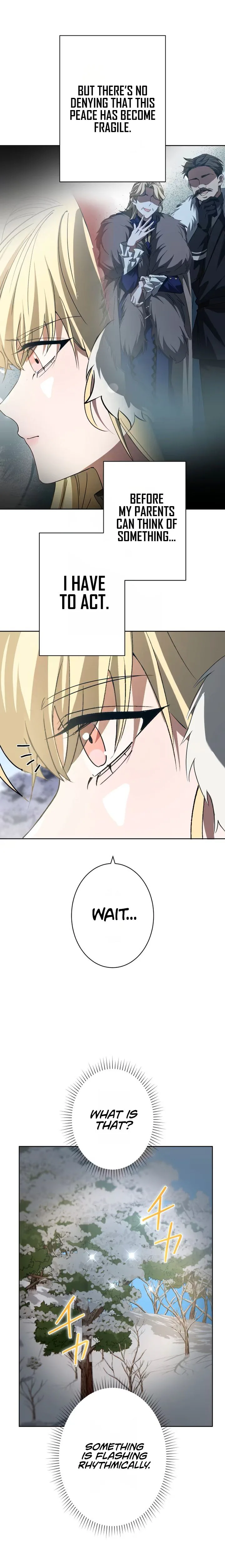 Don't Obsess Over the Fake Princess Chapter 32 Page 27