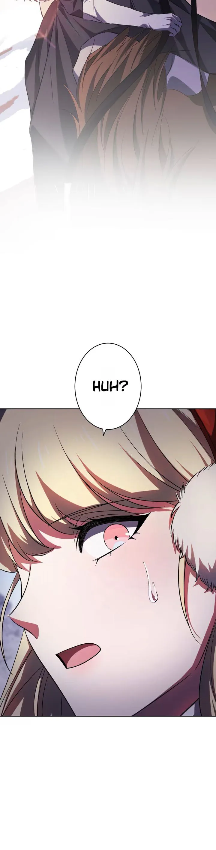 Don't Obsess Over the Fake Princess Chapter 32 Page 29