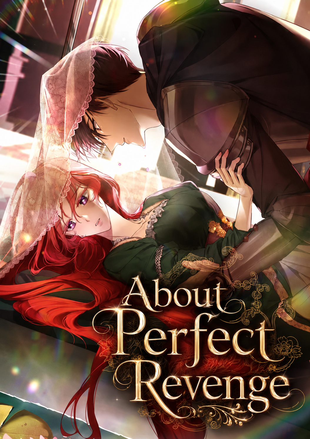 Cover of About Perfect Revenge