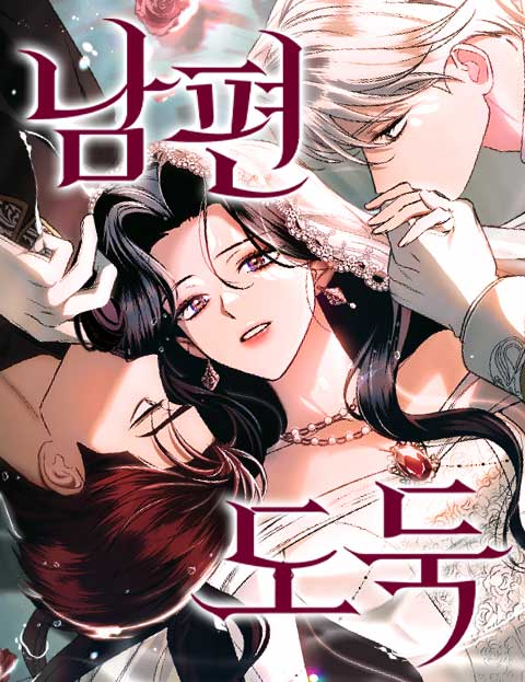 Cover of Husband Thief [Novel]