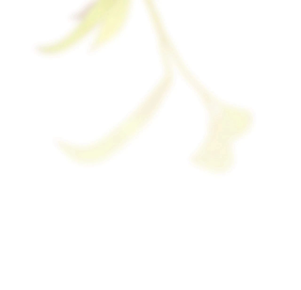 How To Reject My Obsessive Ex-Husband Chapter 41 Page 52