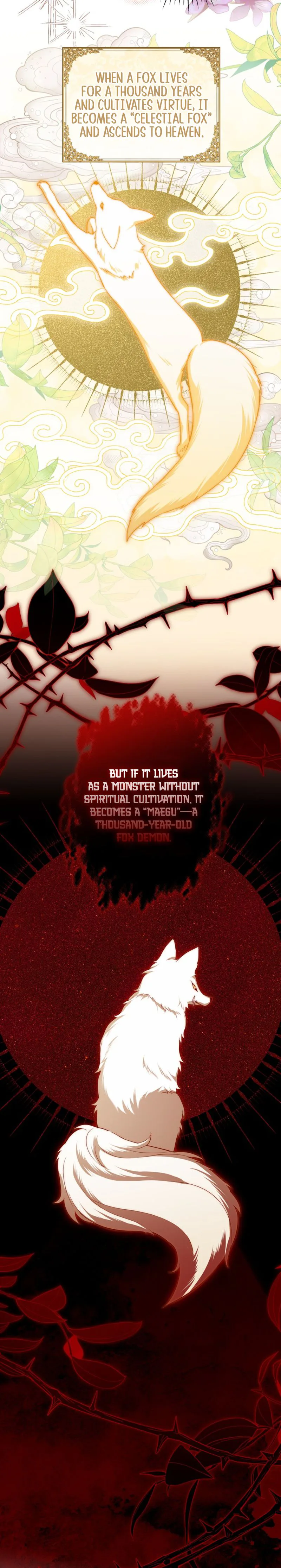 I Became the Terminally Ill Princess With No Tomorrow Chapter 7 Page 18
