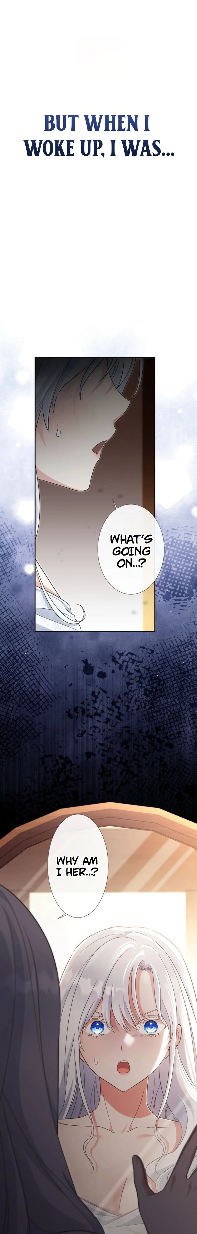 I Possessed the Most Terrifying Stepmother in History Chapter 1 Page 10