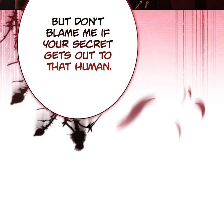 I Was Supposed to Be the Stalker Lady, But Somehow I’m Being Doted On Chapter 44 Page 13