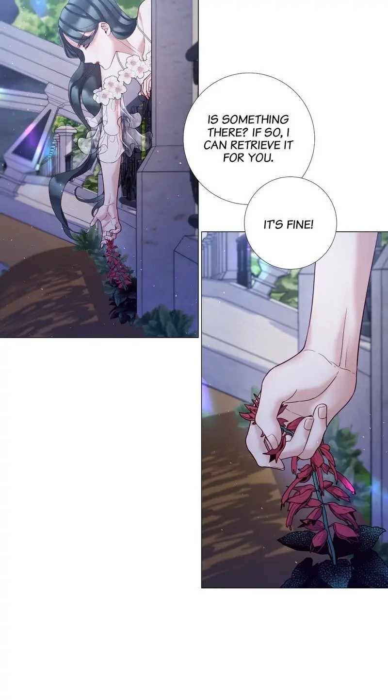 Lady to Queen Chapter 100 Page 12