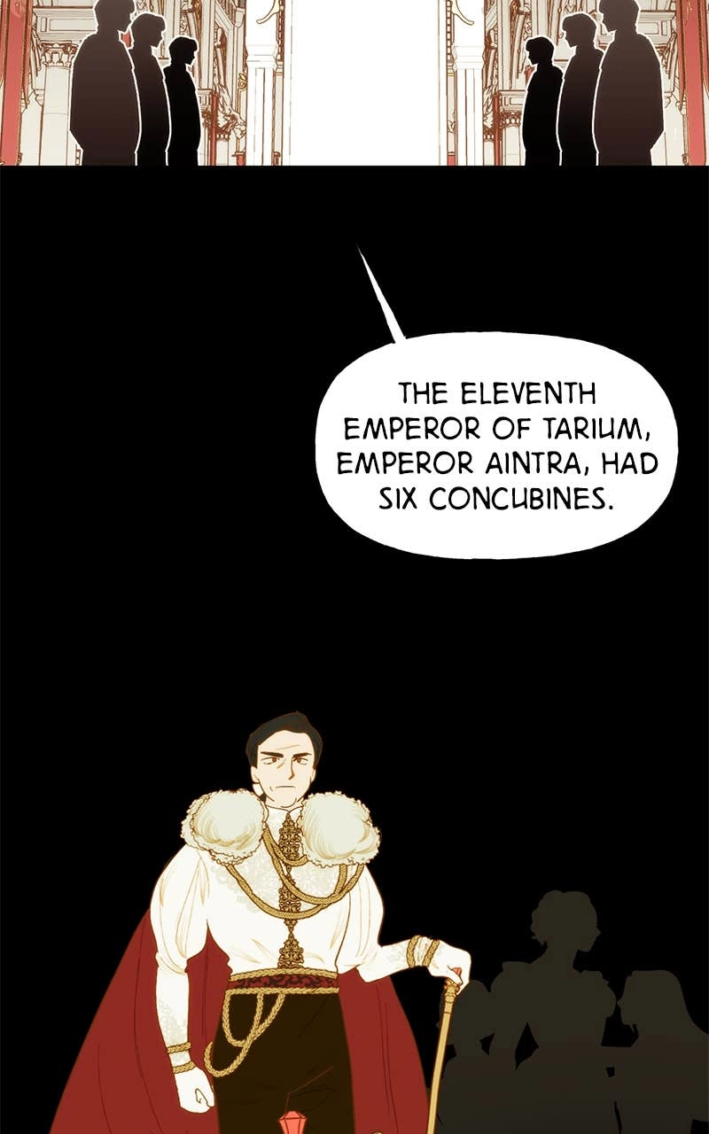 Men of the Harem Chapter 0 - Prologue Page 12