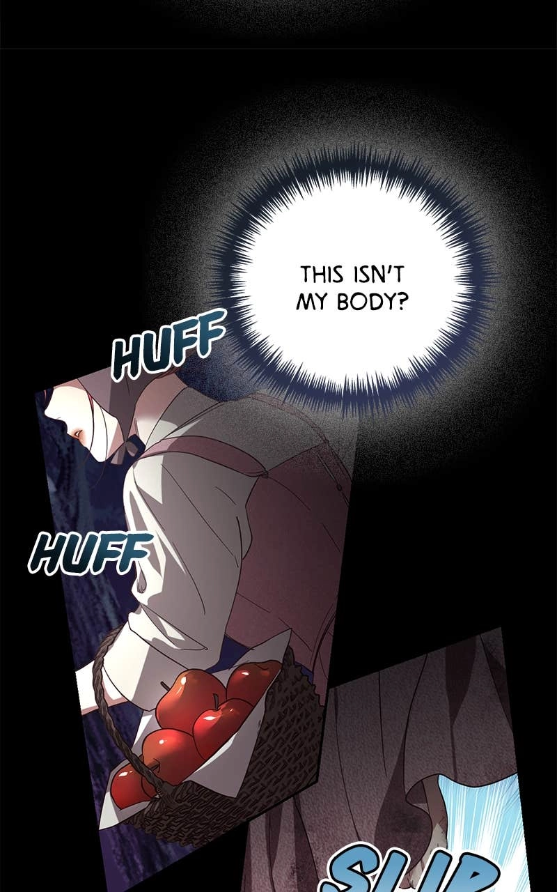 Men of the Harem Chapter 117 Page 64