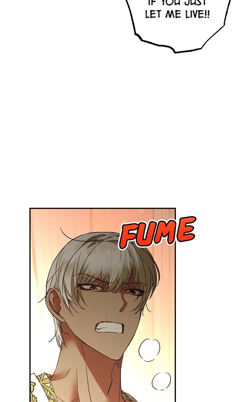 Men of the Harem Chapter 129 Page 42