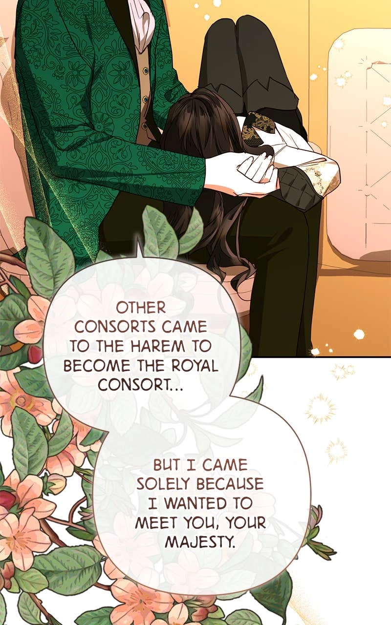 Men of the Harem Chapter 142 Page 39