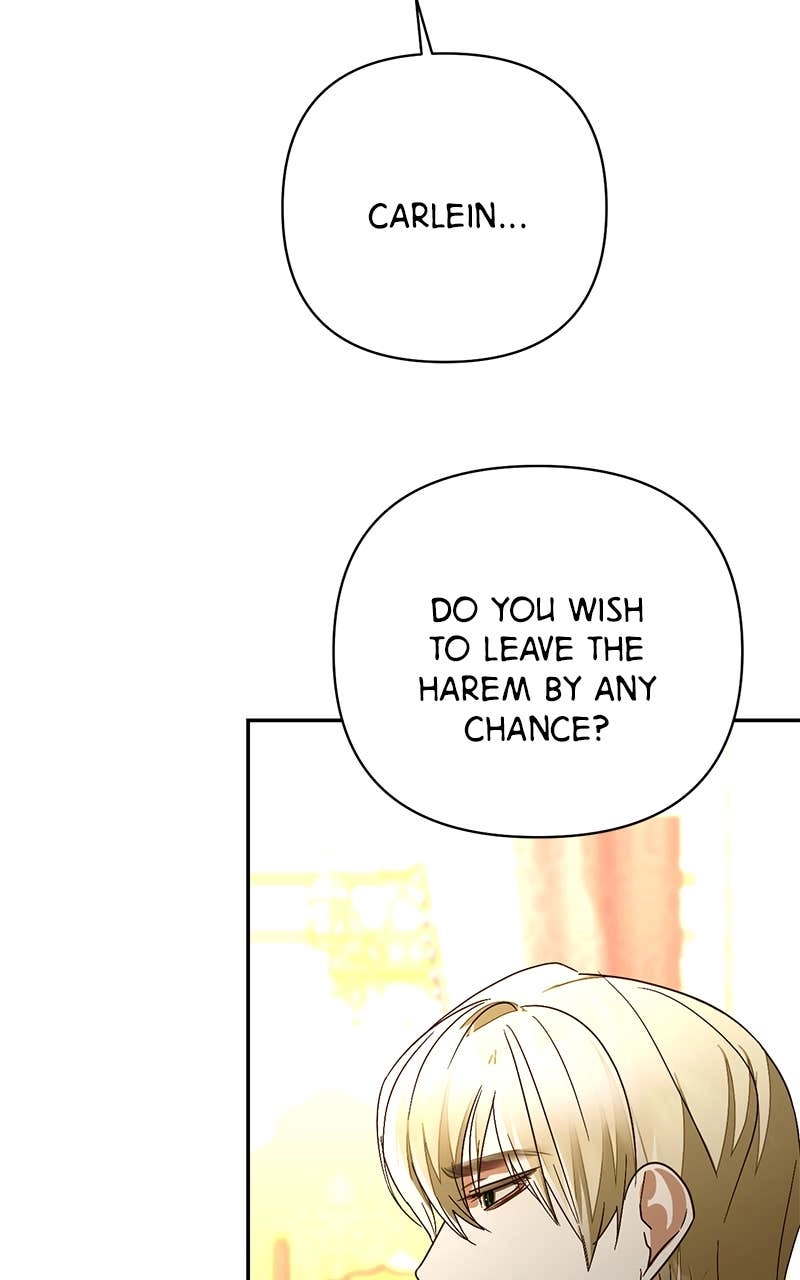 Men of the Harem Chapter 146 Page 15